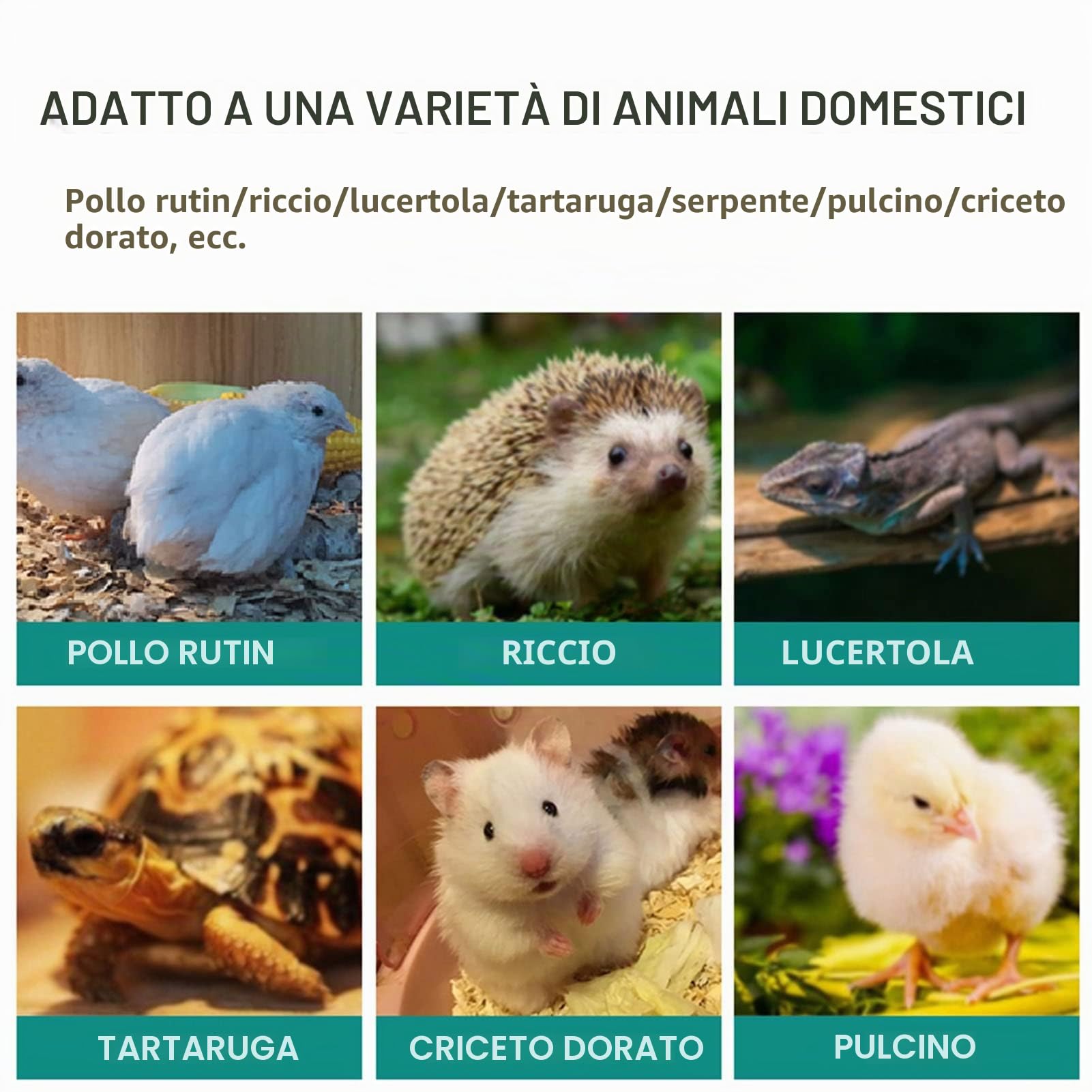 Gabbia per criceti e piccoli animali – mangiatoia per polli, ideale per conigli e porcellini d'India, facile da montare e pulire