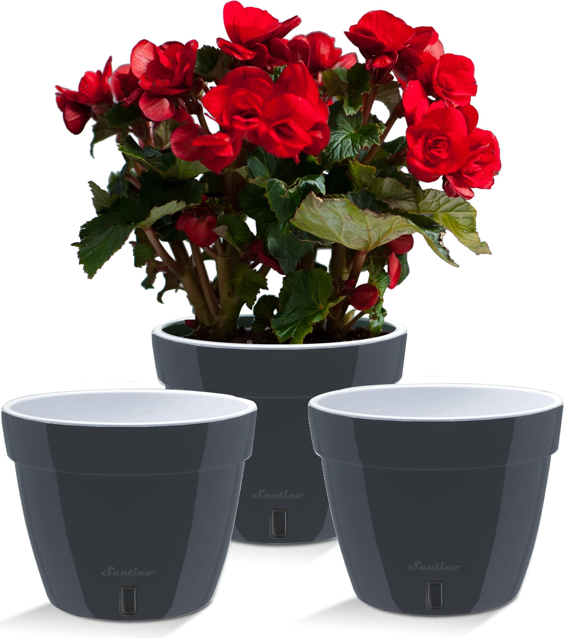 Santino ASTI - Set de 3 Macetas con Riego Automático con Indicador de Nivel de Agua, Redondas, para Interior, para Plantas, Flores, Hierbas (Ø 27 cm, Altura 21 cm, 9 L, Antracita/Blanco)