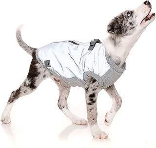 FuzzYard MacGyver Zip Up Dog Jacket with Built in Harness for Cold Weather (Reflective Grey, Size 5)
