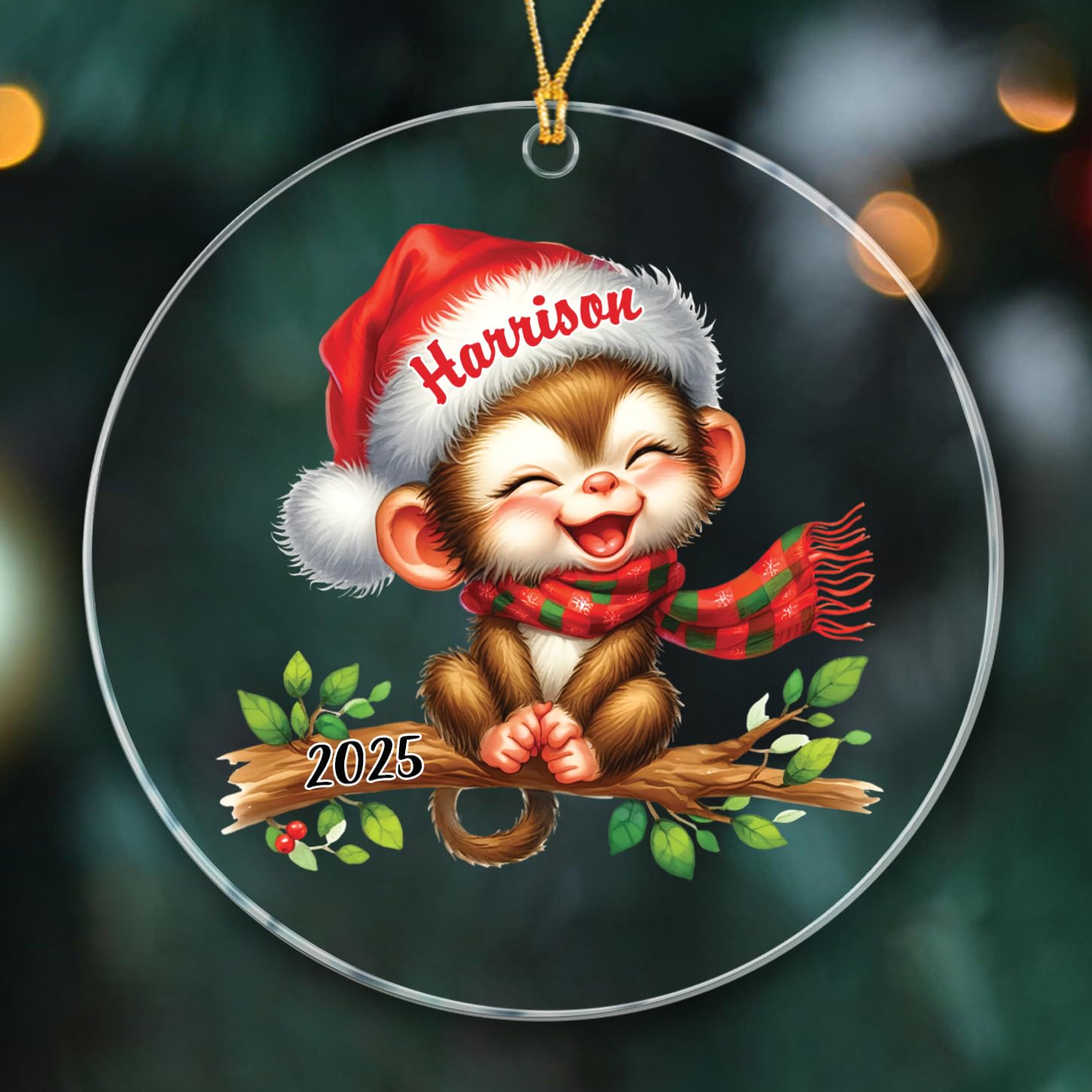 Monkey Christmas Ornaments 2025, Personalized Monkeys Xmas Ornament Gift for Animal Lover Men Women Kids Child, Cute Baby Monkeys Ornament Gift, Customized Year & Name Monkey Lover Ornaments Hanging