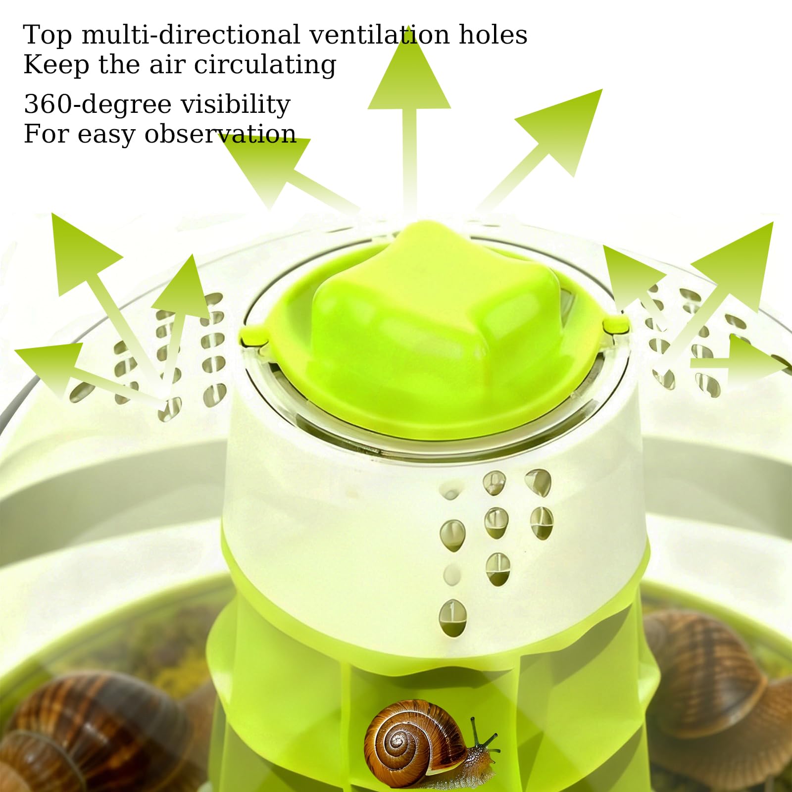 Kit de terrarium pour escargots - Enclos d'insectes - Terrarium d'observation - Récipient d'observation des mantes priantes - Boîte d'élevage - Kit de démarrage pour coccinelles, araignées, petits