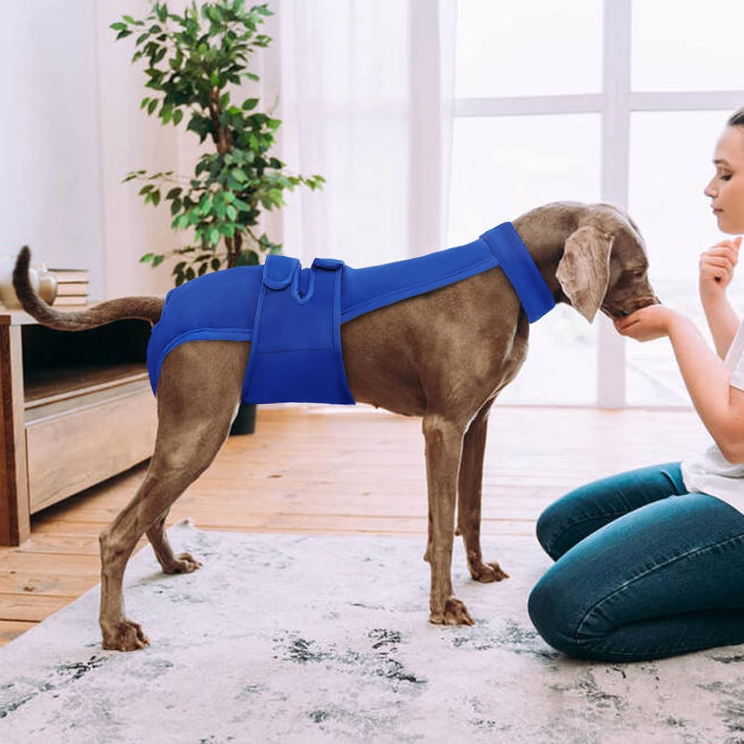 Dog Diapers Female Reusable Washable Period Diaper with Suspender,Adjustable Dog Panties Anti-Harassment, Doggie Diapers for Incontinence, Heat Cycles, or Senior Dogs（XS-XL