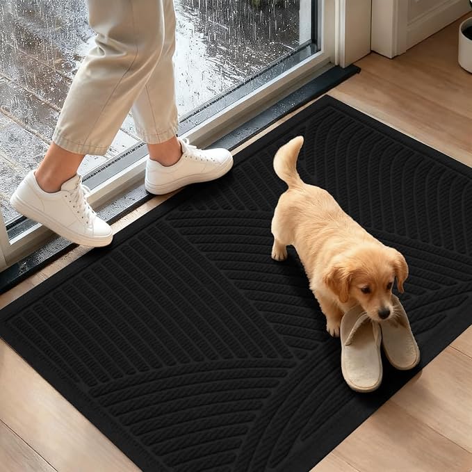 Sturdy Front Door Mat
