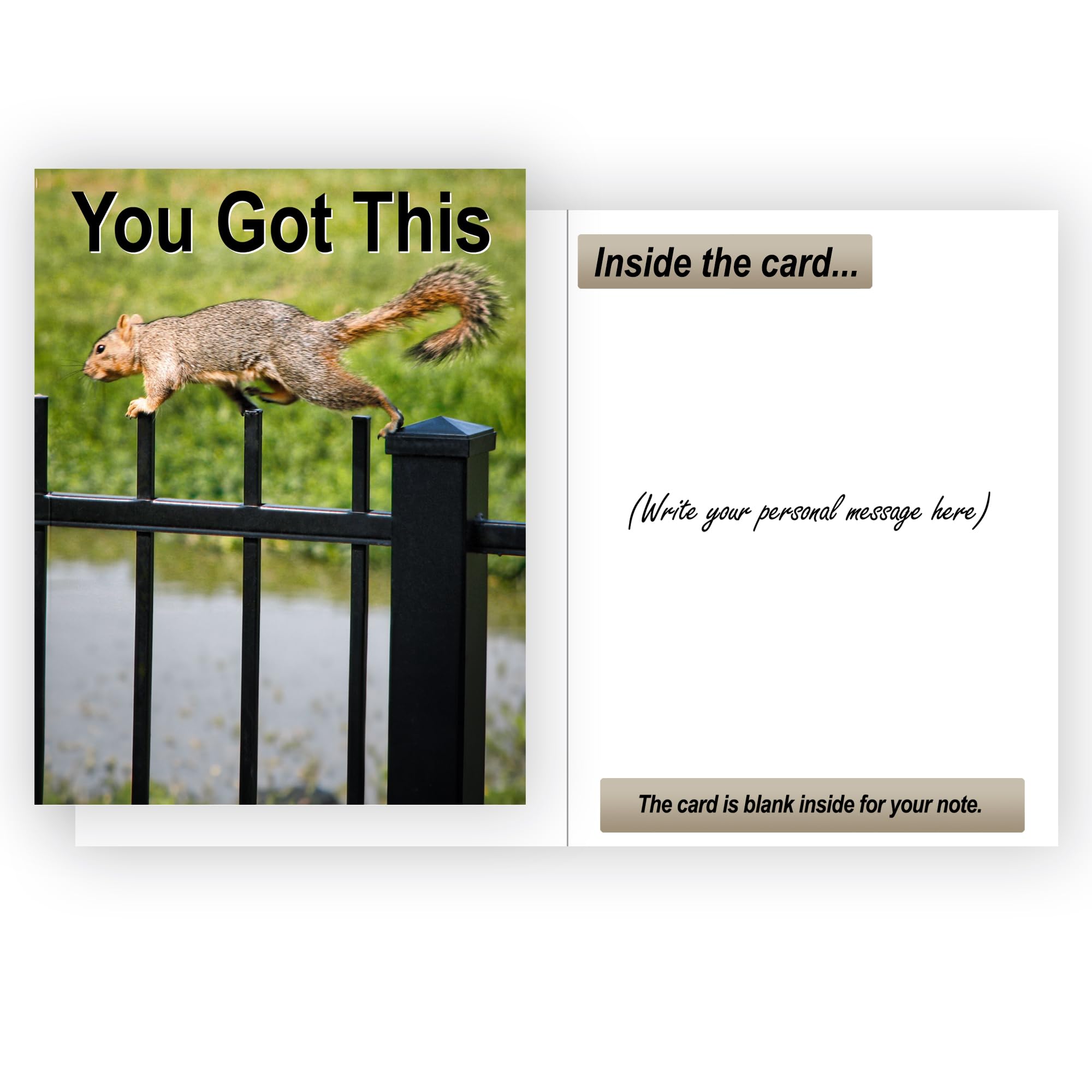 Tarjeta de aliento para ardilla You Got This Sure-Footed | Tarjetas de afirmación para mujeres, tarjetas de afirmación positiva, tarjetas motivacionales, tarjetas de afirmación para
