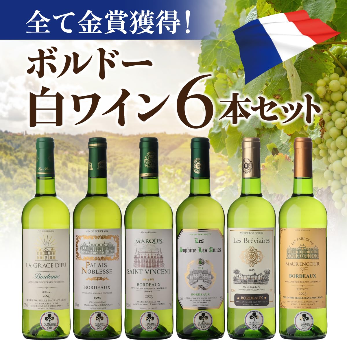 ボルドー金賞など 各国 白ワインセレクション 10本セット　750ml　ｖ2 Amazon.co.jp: ボルドー 白ワイン 6本セット 全て金賞 750ml フランス
