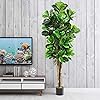 Product Photo 2