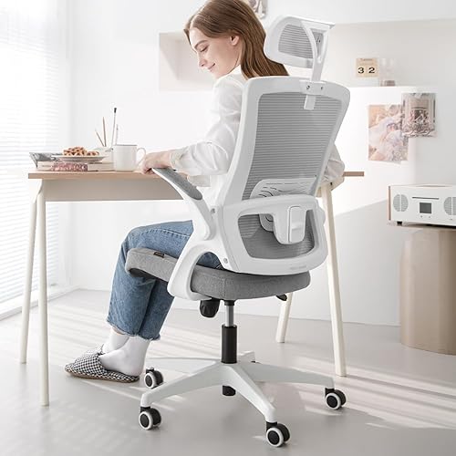 NEO CHAIR DBS-H High Back Mesh Headrest Adjustable Height and Ergonomic Design Home Office Computer Desk Executive Lumbar Support Padded Flip-up Armrest Swivel Chair (Grey)
