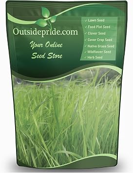 Outsidepride Annual Ryegrass Seeds - 5 lb. Hardy & Fast-Growing, Cover Crop Seeds for Planting Glossy Dark Green Grass Leaves, Ideal for Hay Foraging, Pasture Grazing & Erosion Control
