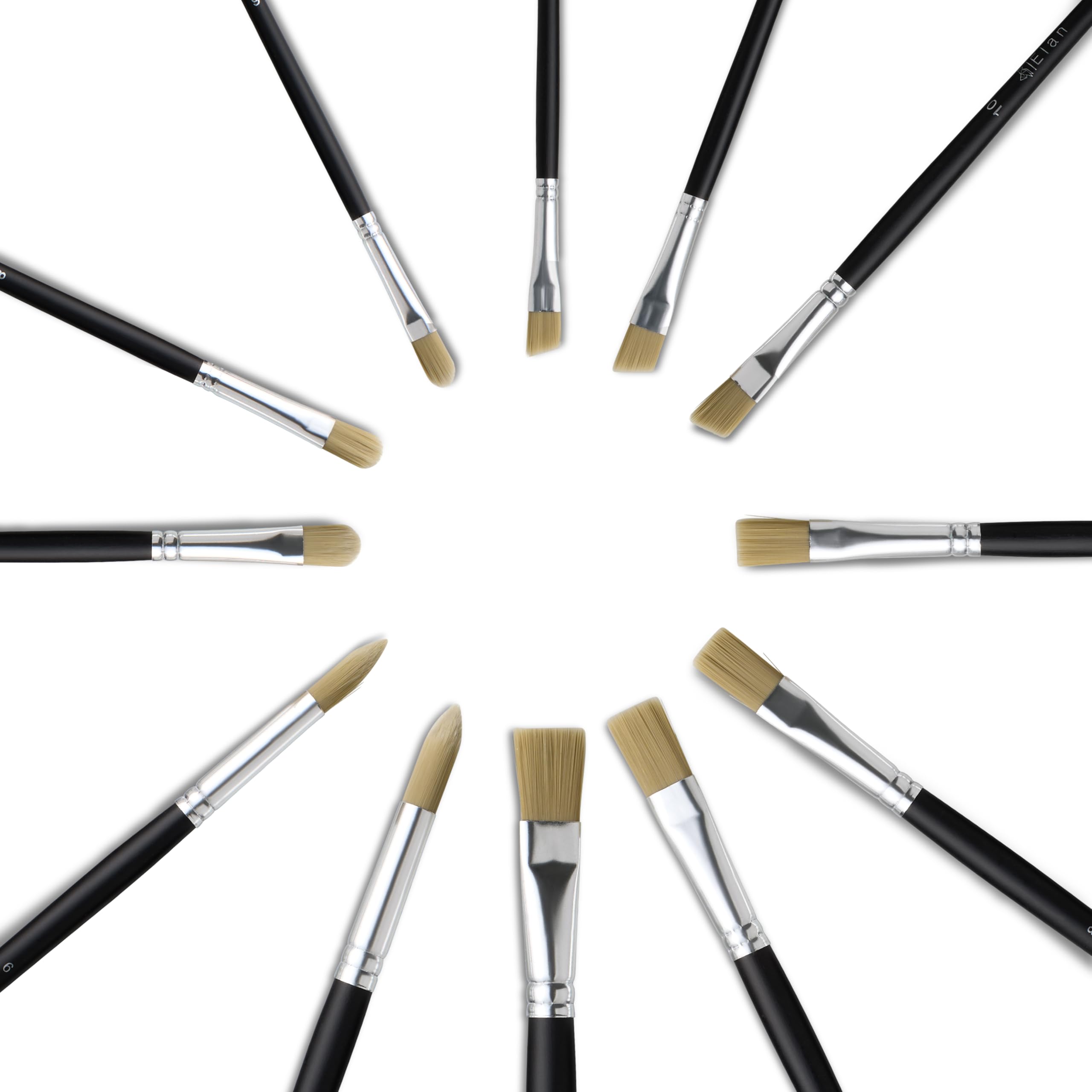Acquista Docolor Set di pennelli per trucco professionale 30 pezzi Pennelli per trucco Polvere