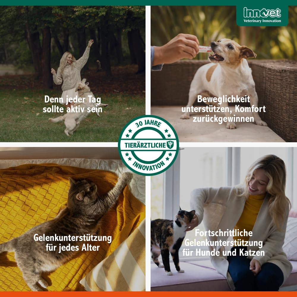 Glupacur Gelenktabletten für Hunde und Katzen jeden Alters, 200 Gelenktabletten Hund mit PGA (Glucosamin), Curcumin & Vitamin E, Gelenk Komplex für Katzen für Beweglichkeit und Lebensqualität
