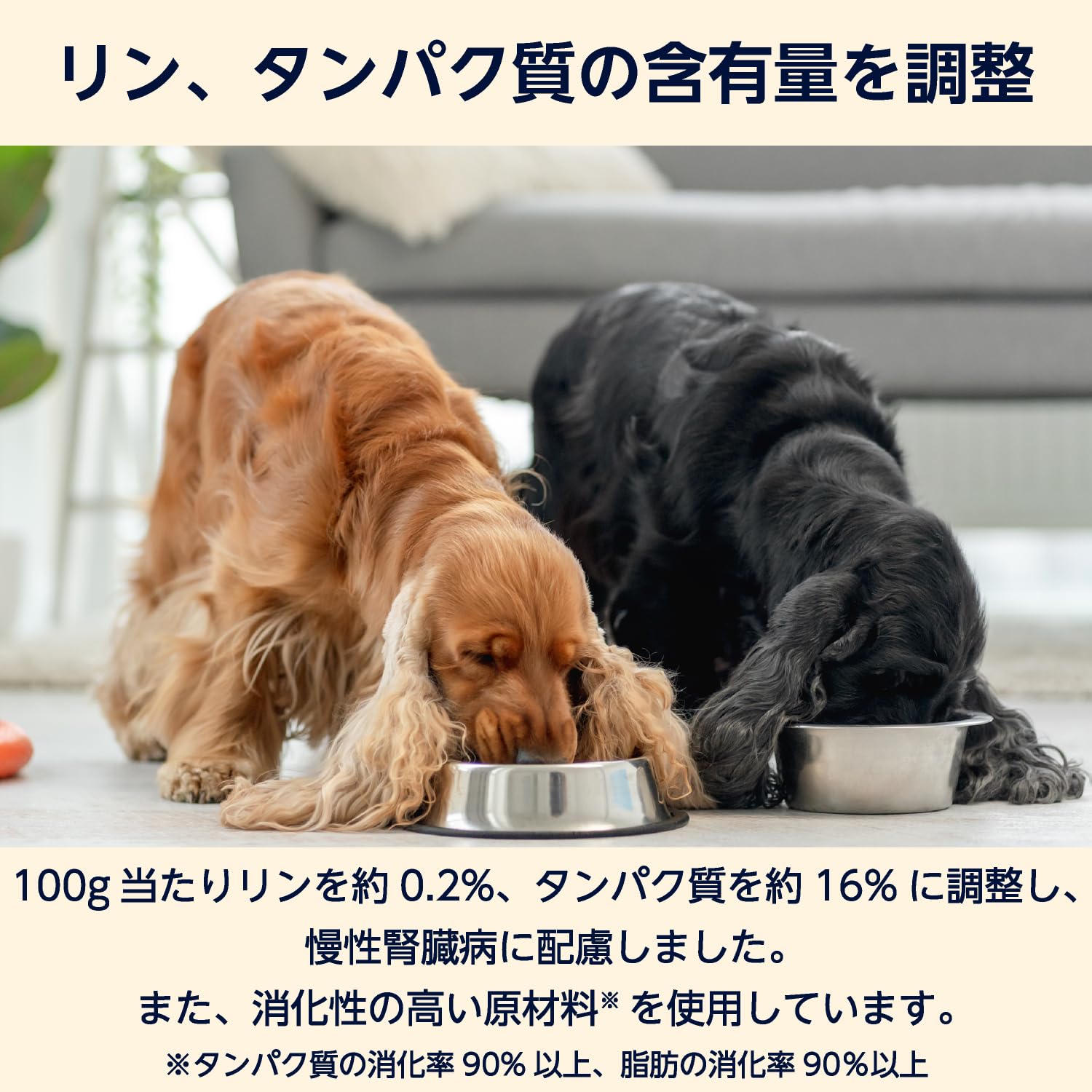 みーみこ様、専用 腎臓ケア by amazon 2袋セット Amazon.co.jp: by Amazon 犬用食事療法食 腎臓ケア 3kg ドッグフード