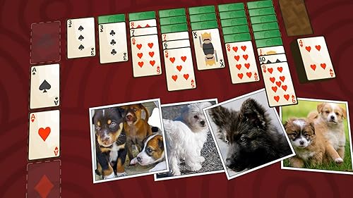 Solitaire Puppies TV