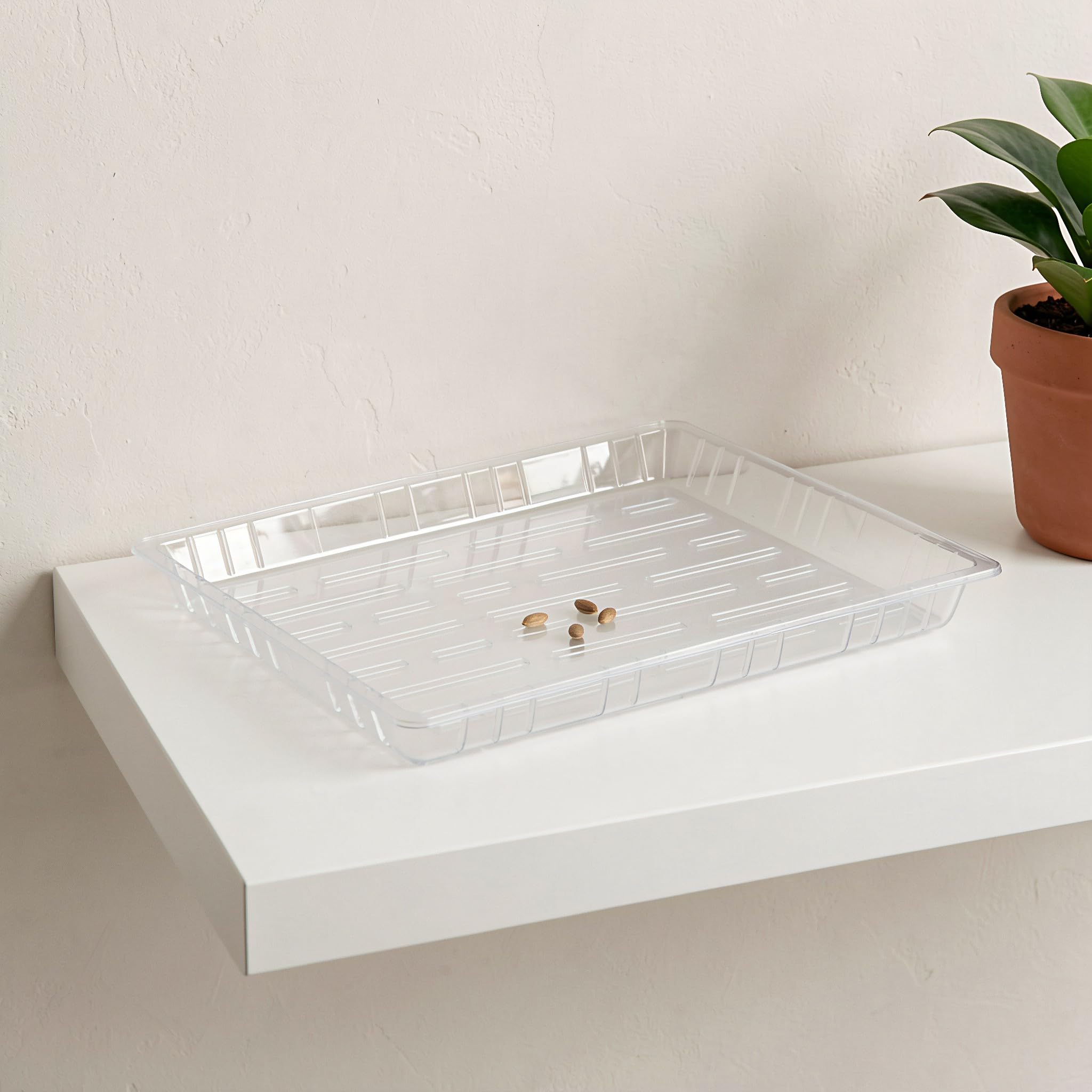 Lurrose 5 bandejas para semilleros, bandejas de propagación de Plantas de 1 | Bandeja de plástico para germinación y propagación de semillas para jardín, plantación, plántulas, tierra y horticultura hidr