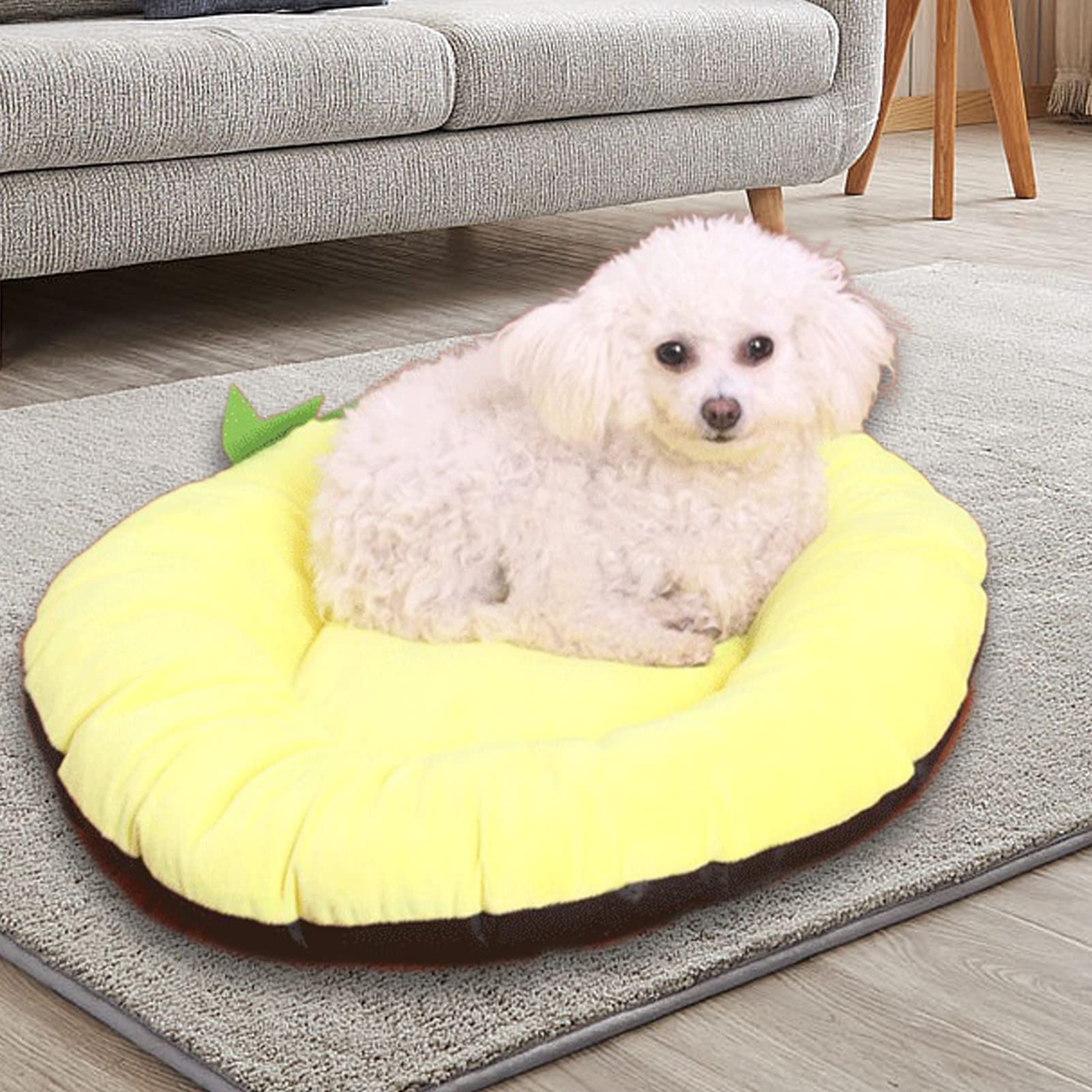 AOKID Round Pet Bed for Small Cats and Dogs Fruit Shape Dog Bed Soft Plush Cat Bed for