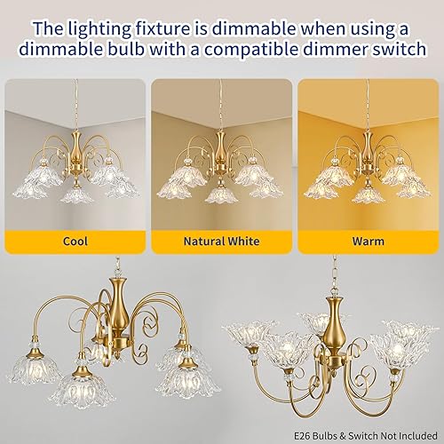 Miniatura 5 de 5-Light Vintage Chandeliers in Matte Brass Finish with Crystal Glass Shades, Retro Chandelier Light for Dining Room,Hallway,Kitchen