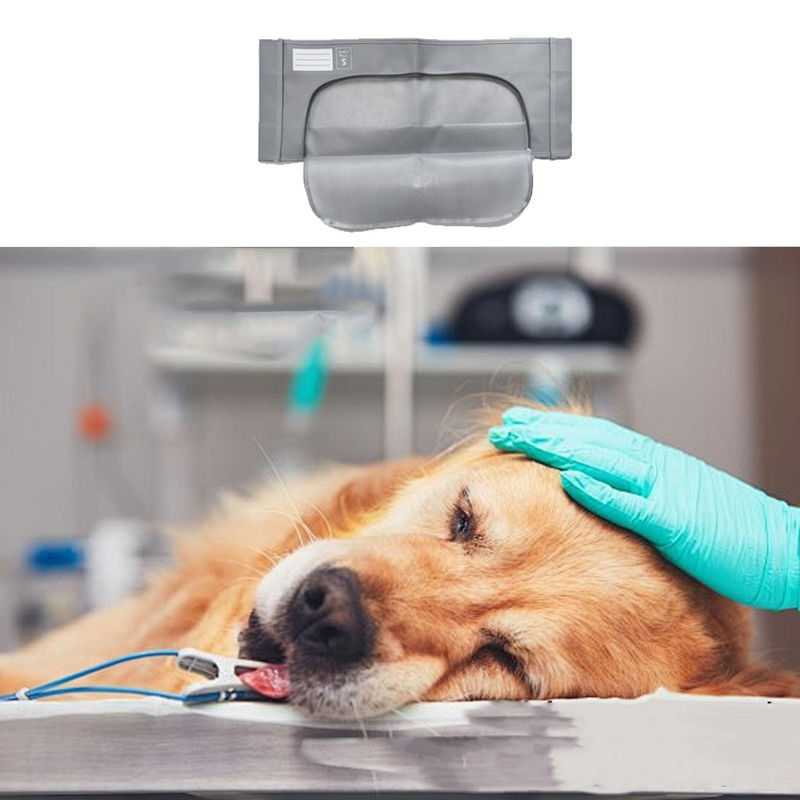 SENECESLI Bolsa de Entierro para Perros y Gatos, Bolsa para Mascotas No Tejidas para Entierro y Cremación (S)