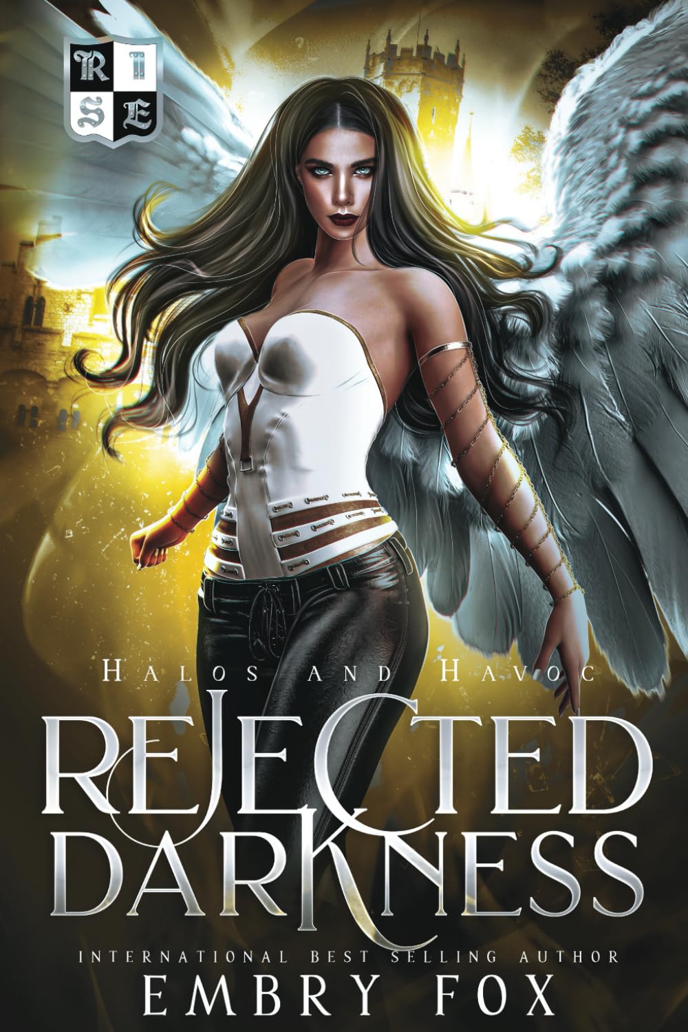 Rejected Darkness: A Why Choose Academy Romance (Halos and Havoc)