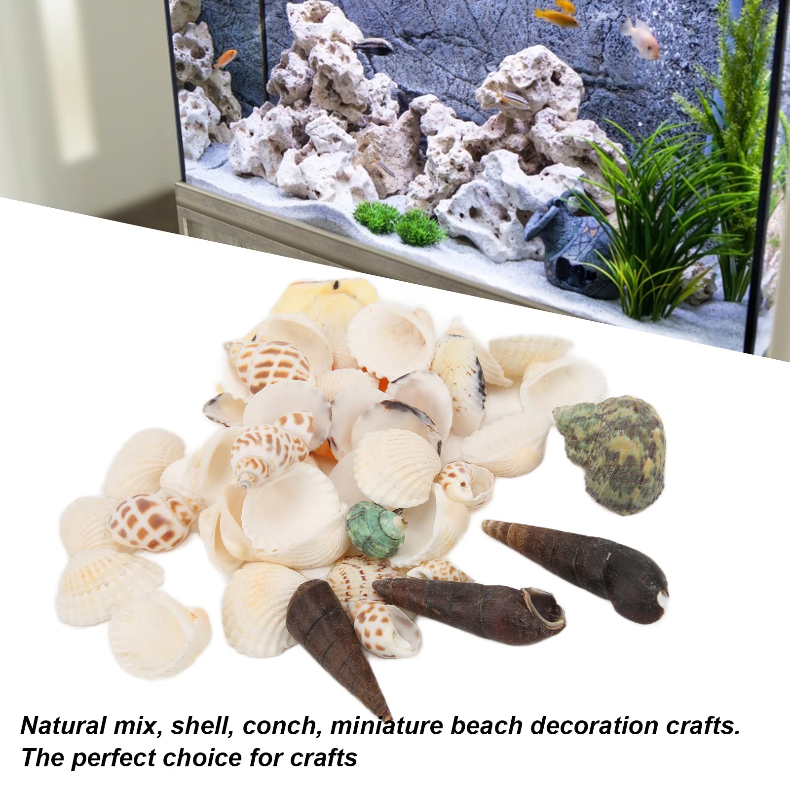 Miniature Beach In A Shell Cheesecloth Plunge Shell Trim Mini Beach