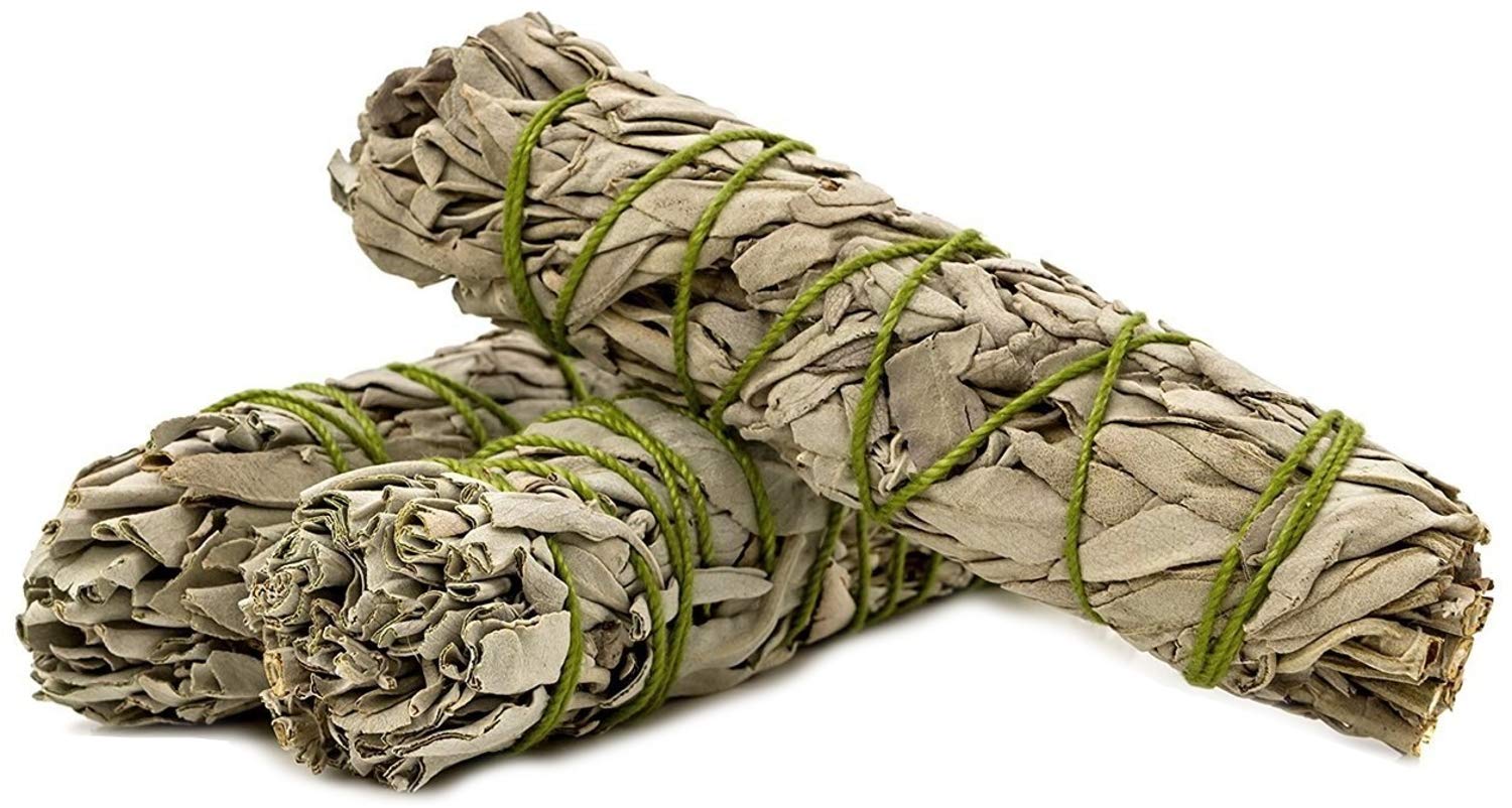 GeoFossils - Pack of 6 Californaia WHITE SAGE XL Smudge Stick 7-8'' (~18-20cm; ea. 45-50gr.) Incense fresh from California, Buffalo Sage, Native American Sage,Wands
