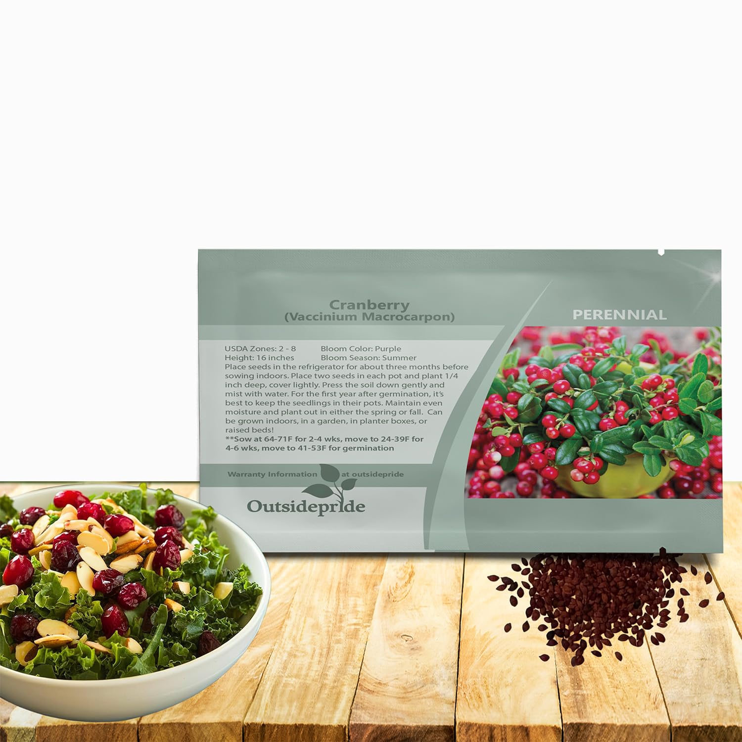 Amazon.com : Outsidepride Cranberry Seeds - 250 Pcs. Perennial, Easy to Grow  & Low Maintenance, Fruit Seeds for Planting Nutrient-Rich Berries with  Purple Blooms for Pollinator Gardens & Container Displays : Patio,