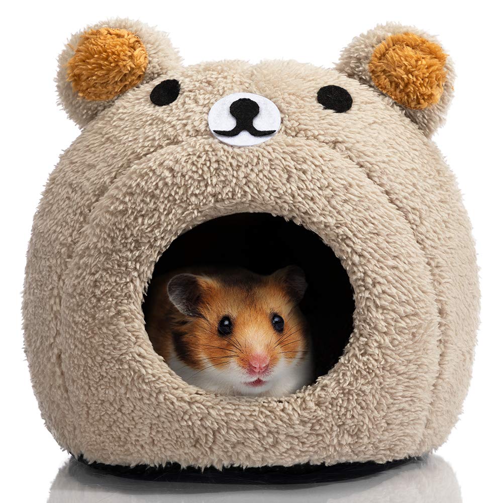 Brown Teddy Bear Hamsters