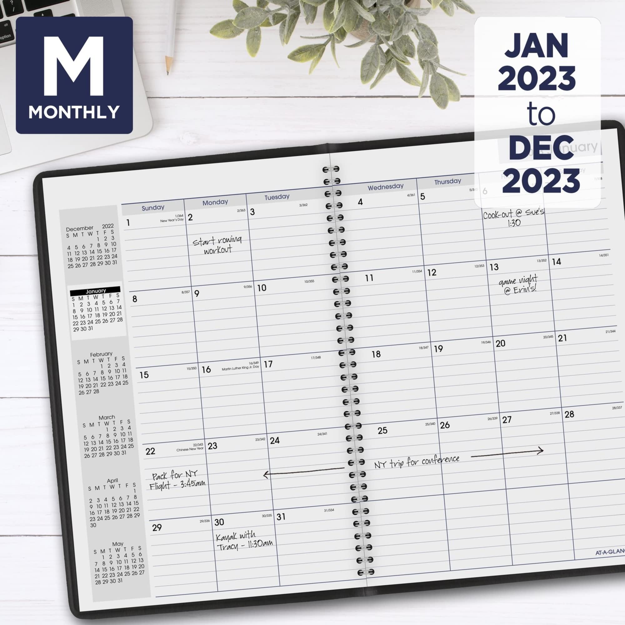 AT-A-GLANCE 14-Month DayMinder Monthly Planner, 8" X 12", Black, December 2021 To January 2023