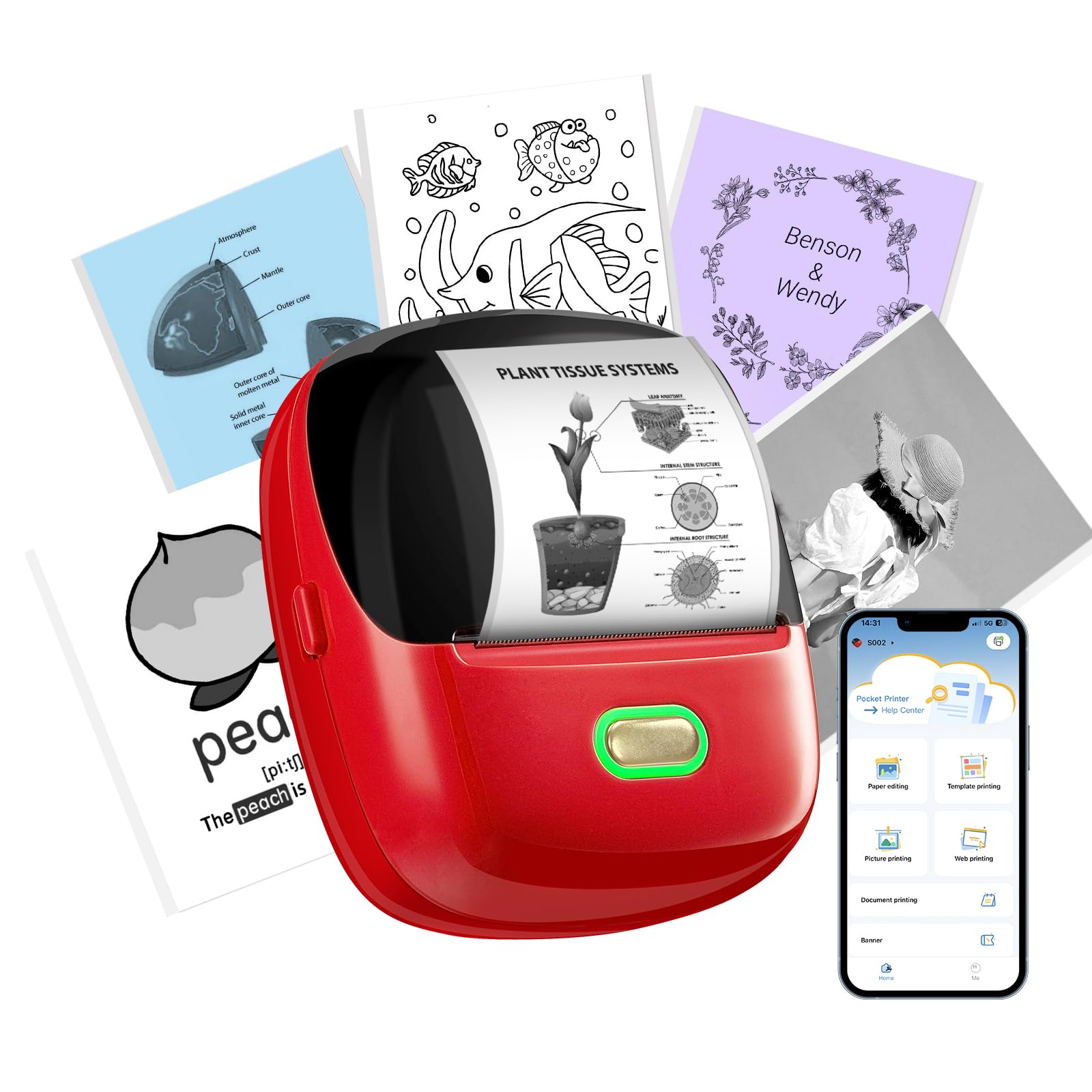 ORGSTA S002 Sticker Printer - Mini Printer Portable Thermal