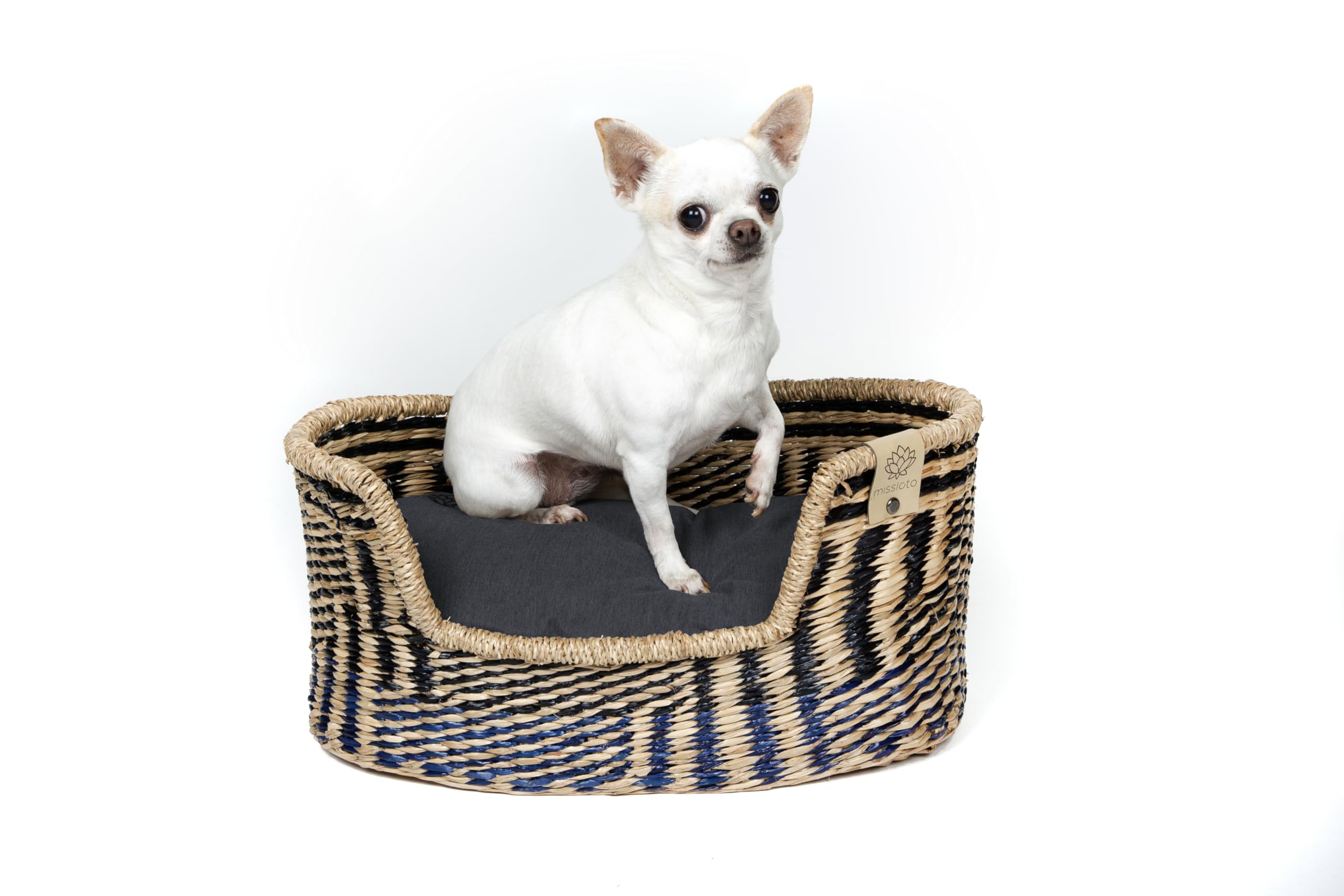 MISSLOTO Cama Perro - Cama Perros Pequeños - Cama para Perros Pequeños - Cama Perro Pequeño - Cama de Perro - Cama Ortopedica para Perros - Cama Viscoelastica para Perros - Cama Perro Impermeable