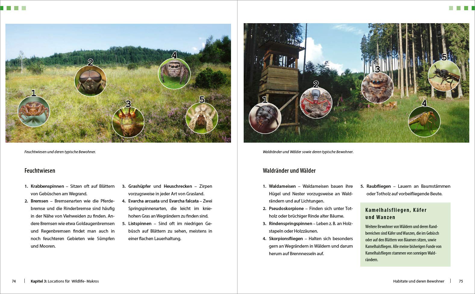 Extreme Wildlife-Makrofotografie: Für bessere Fotos von Anfang an!. Reise in eine atemberaubende Motivwelt von Insekten & Spinnen. Aufnahmetechnik und ... Grenzen sprengen mit enormer Vergrößerung