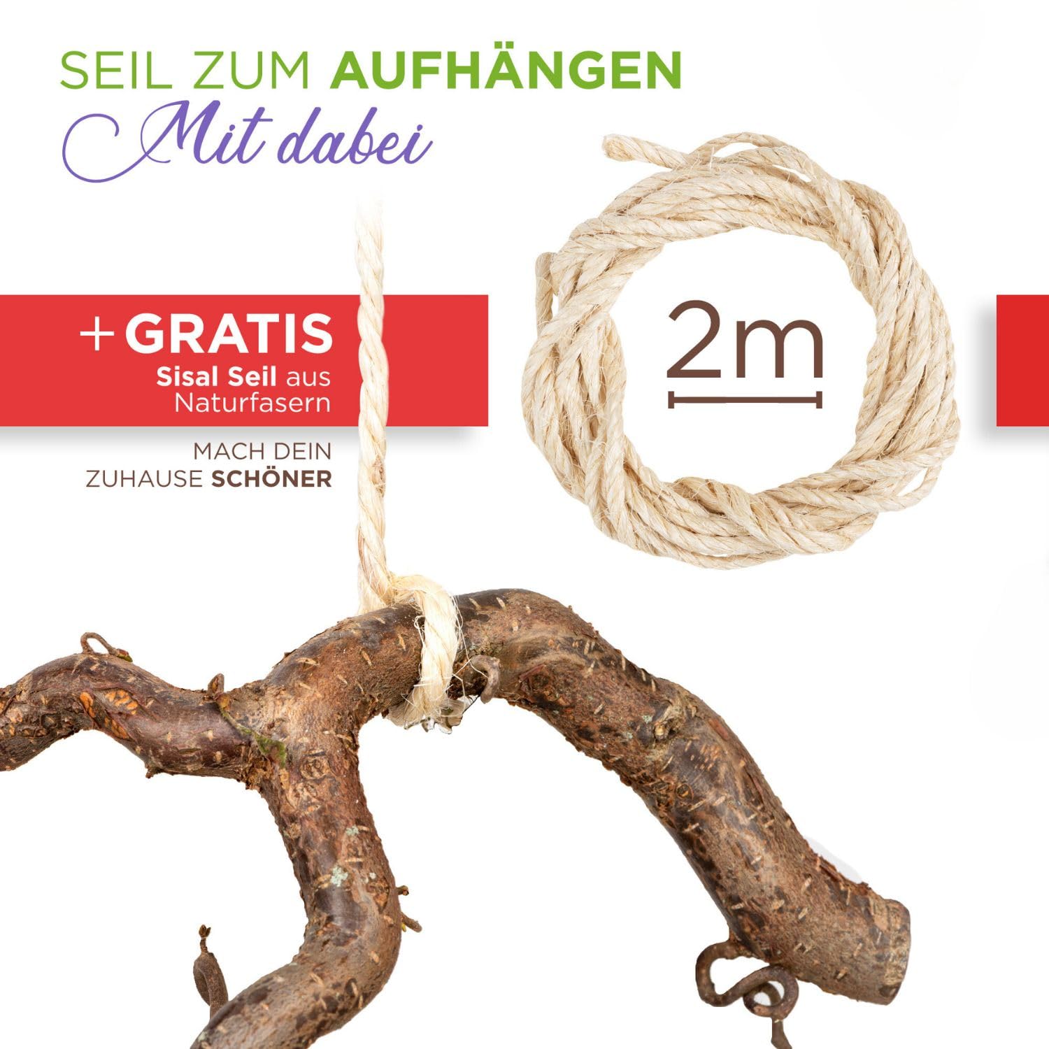 Echter Korkenzieherhasel AST zum Aufhängen Korkenzieherhasel Zweig Osterndeko | Dekozweige für Vase ca. 40cm