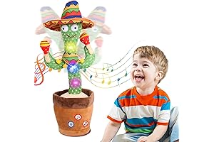 Echoing Cactus: A Delightful and Entertaining Companion for Kids