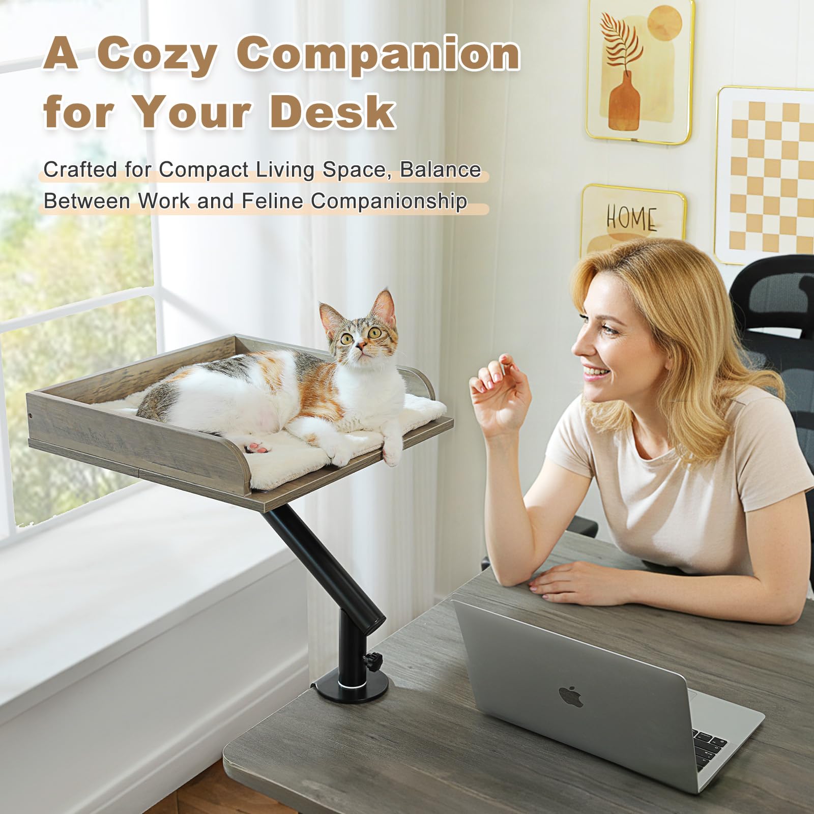 PAWZ Road Cama para Gatos de Escritorio, Cama de Madera para Interiores, Cesta para Gatos, giratoria 360° y Regulable en Altura, Hamaca para con rascador, soporta hasta 23 kg, Gris