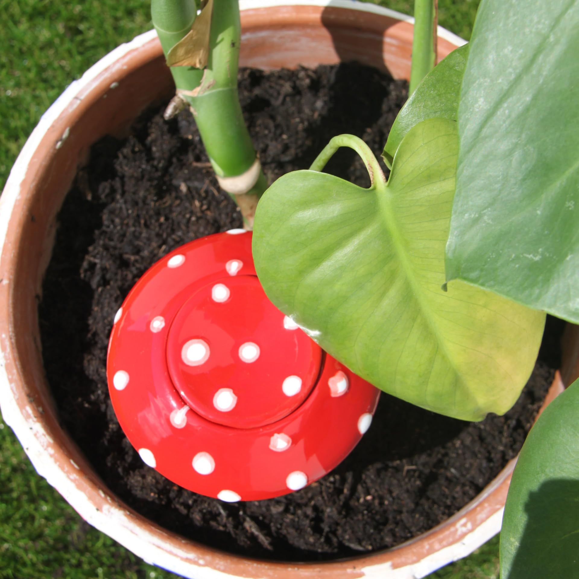 Ollas Lutton Olla Terre Cuite à Planter 40cl| Arrosage Autonome pour Plantes d'Extérieur Ecologique & Economique | Système d'Irrigation Naturel | Autonomie 3 Jours | OYA Champignon Rouge