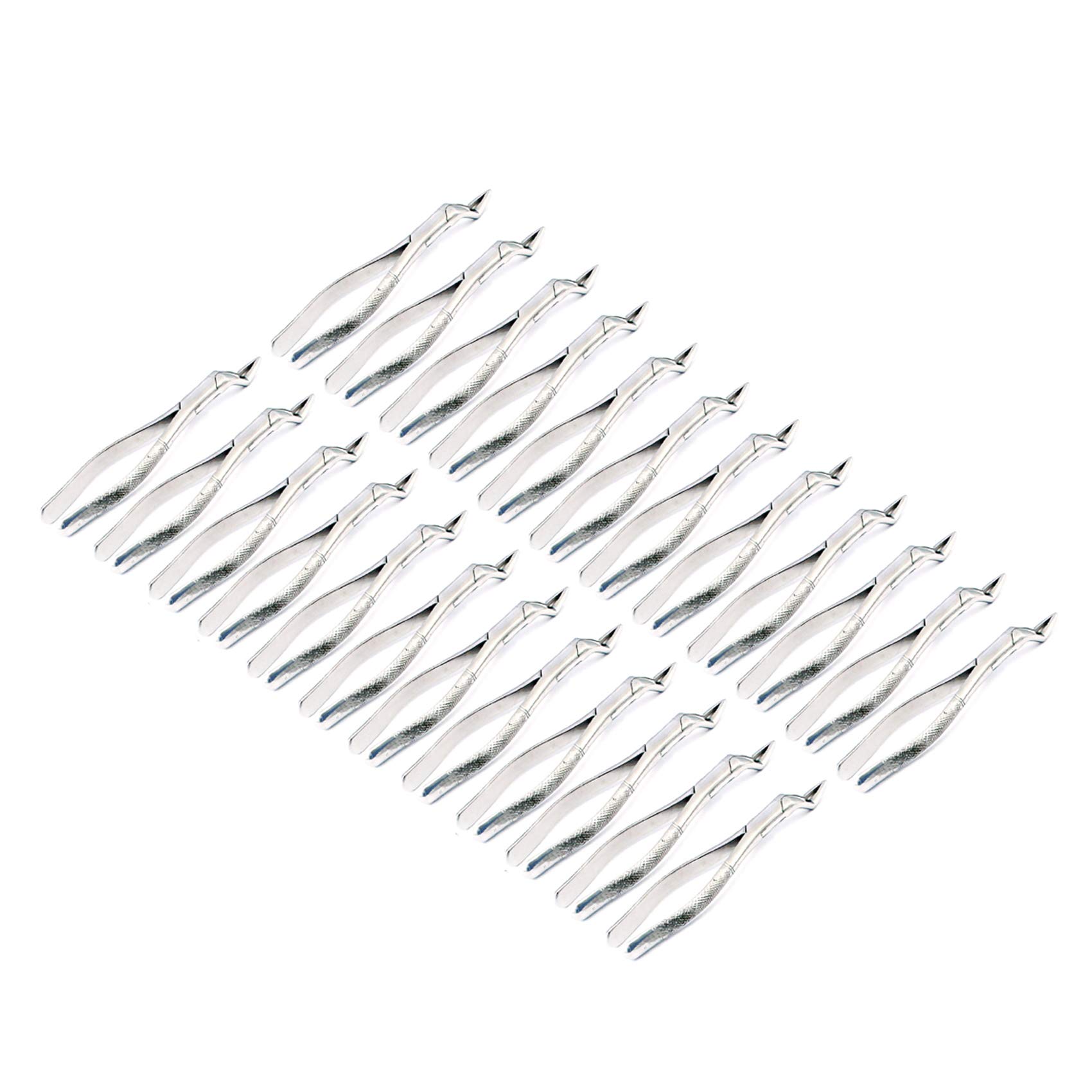 OdontoMed2011 Set Of 24 Dental Extracting Forceps 65 Dental Extraction Instruments ODM