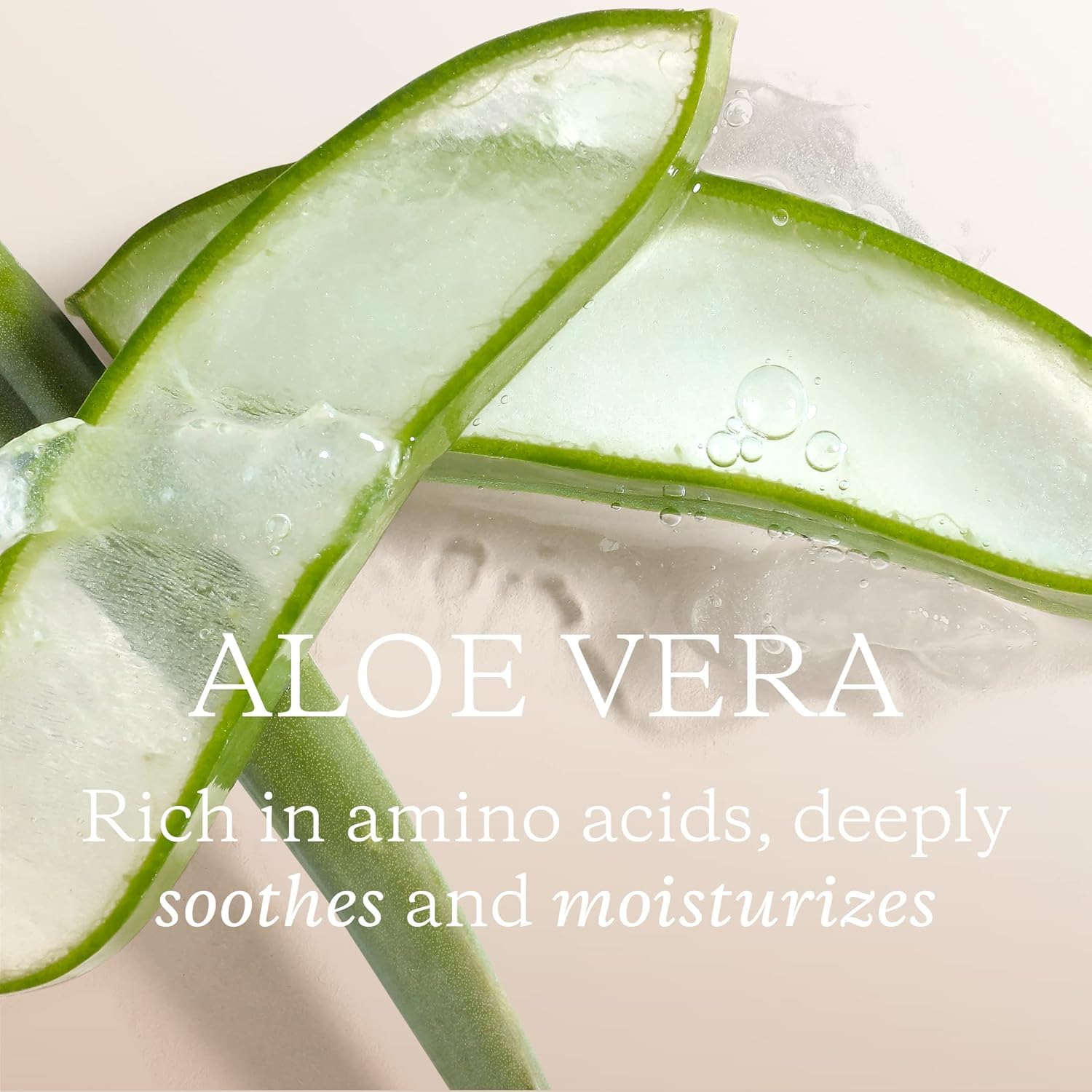 Amazon.com: KORA Organics Minty Mineral Hydration Mist with Aloe