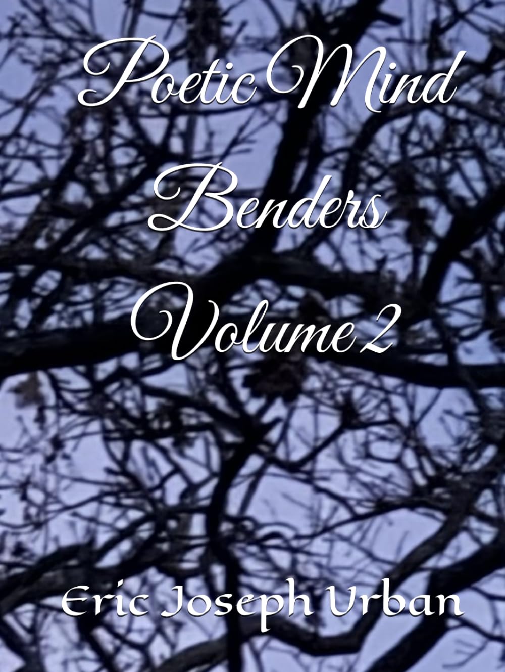 Poetic Mind Benders Volume II
