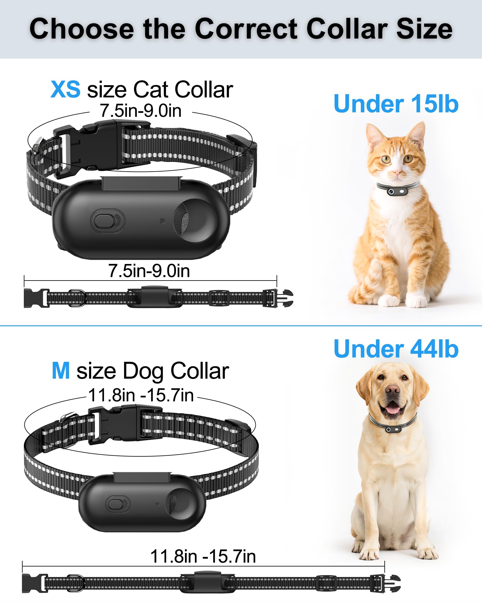 Collare per fotocamera per cani e gatti, 1080p HD registrazione video POV Cam per cani di taglia media e gatti grandi, taglia M, mini action camera ricaricabile con riproduzione USB su PC