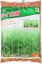 Rye Taro Rye 2.2 lbs (1 kg) (Takii Seedling Green Manure, Super Fast Rye)