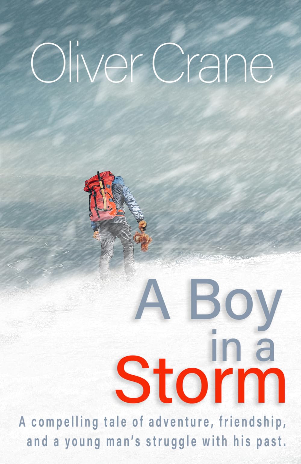 A Boy in a Storm: A compelling tale of adventure, friendship and a young man’s struggle with his past (The Nicholas Trilogy)