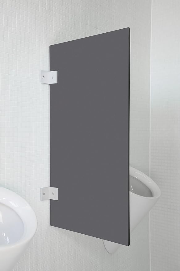 BAOCHADA WC Trennwand 90x40cm - Edelstahl Urinal Schamwand Für öffentliche Toiletten