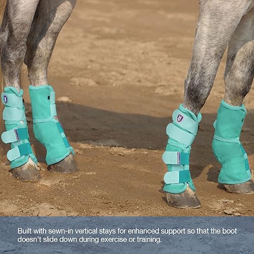 Miniatura 57 de Harrison Howard Botas para moscas de caballo, ajuste contorneado, protectores de piernas, botas de malla densa con ventilación cómoda y protección