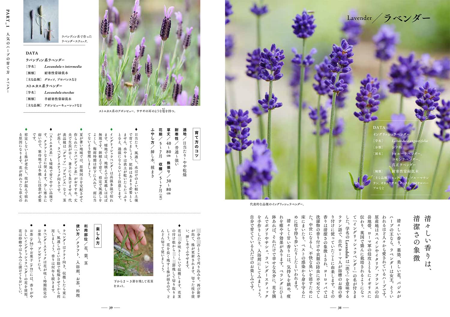 生活の木 の暮らしのハーブ365日 育てる 食べる 飾る 生活の木メディカルハーブガーデン薬香草園 本 通販 Amazon 生活の木 の暮らしのハーブ365日 育てる 食べる 飾る 生活の木メディカルハーブガーデン薬香草園 本 通販 Amazon