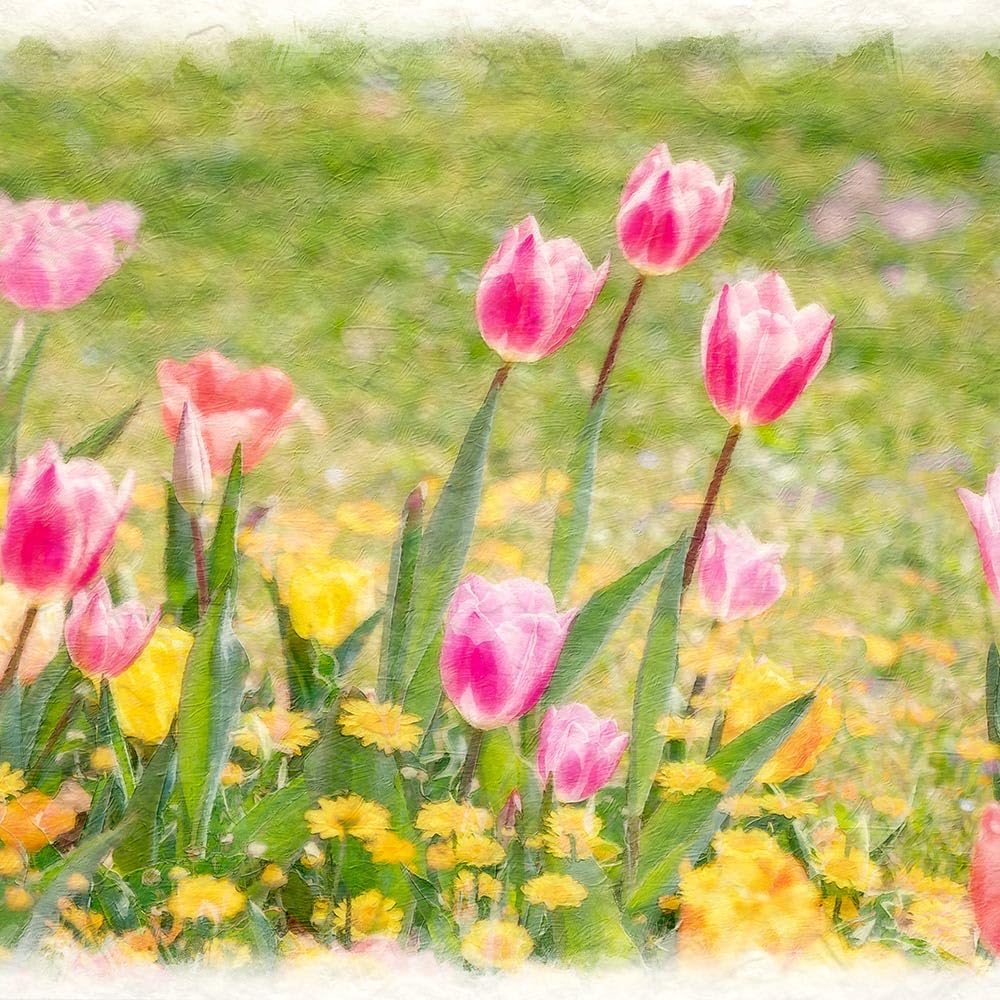 【癒しの絵画】チューリップ 額縁入り インテリア 風水 春 花　原画 Amazon.co.jp: Natural Memories 玄関に飾ると運気が上がる絵画 和紙の