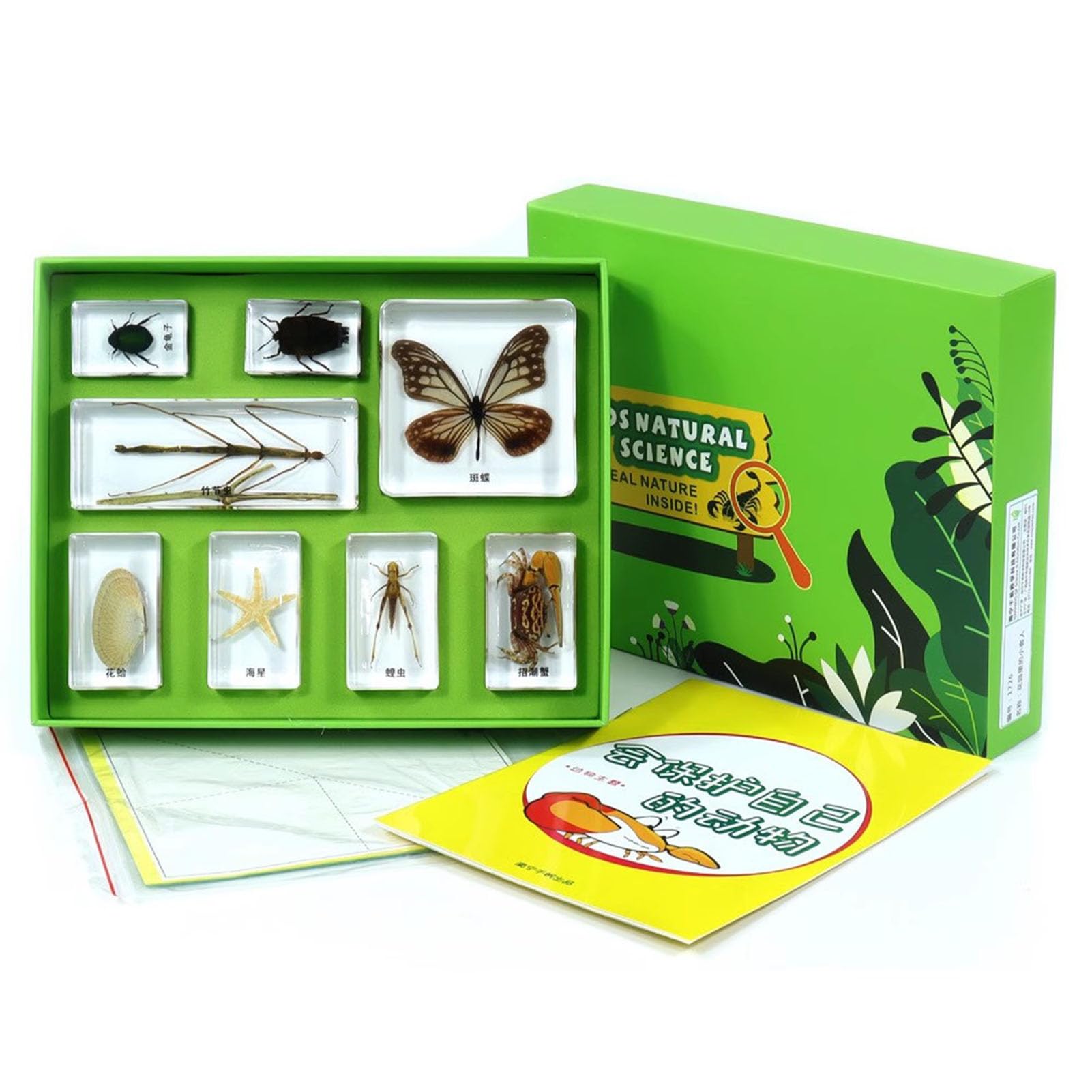 Juego de ejemplares de resina con animales Montessori, regalo de Navidad para la enseñanza científica