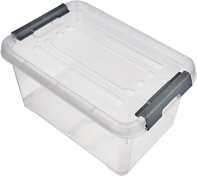 Curver Storage Box Handy Plus with lid 6L in Transparent/Silver, 29.5 x 19.5 x 14 cm