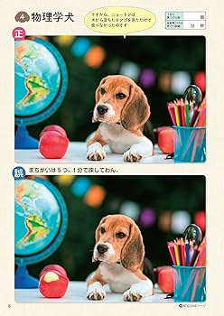 毎日脳活スペシャル いぬのまちがいさがし チワワ大集合の巻