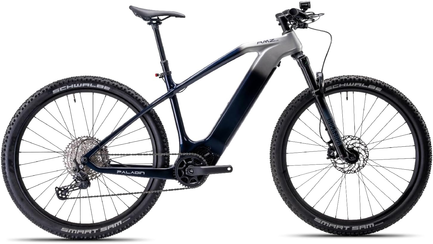 Paladin Electric Mountain Bike, 29-inch, Adult, Carbon Fiber Frame, Front Suspension, 750W(Peak) Motor, Class 1 E-Bike (Dawn Silver, L)