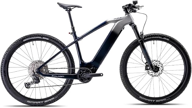 Paladin Electric Mountain Bike, 29-inch, Adult, Carbon Fiber Frame, Front Suspension, 750WPeak Motor, Class 1 E-Bike Dawn Silver, L