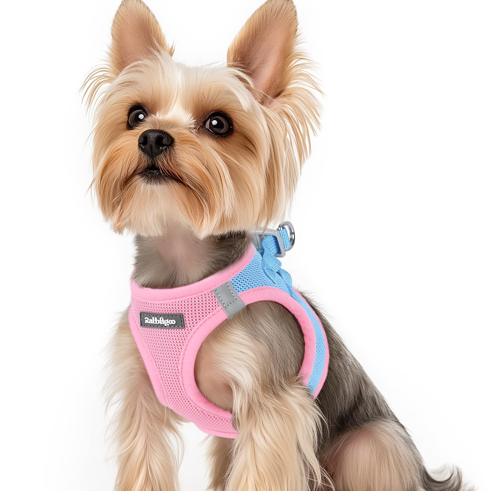 rabbitgoo Hundegeschirr kleine Hunde, Step-in Soft Mesh Hundegeschirr mit Sicherheitsverschluss, atmungsaktives und reflektierendes Welpengeschirr für kleine Hunde