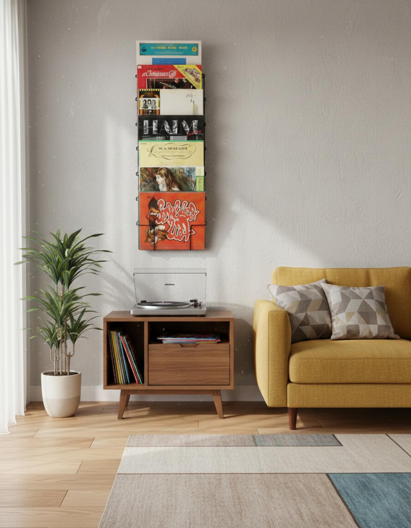 Supporto di stoccaggio per dischi in vinile LP - supporto murale per dischi in vinile